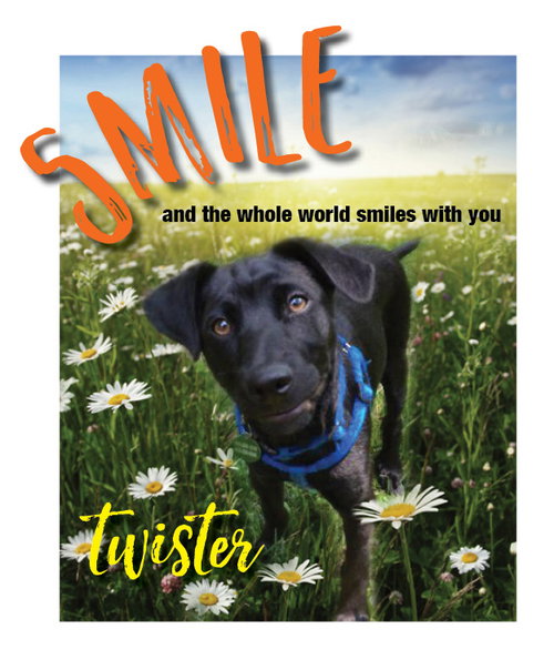 Twister