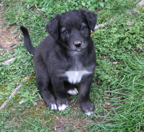 Tucker