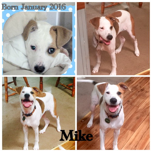 Mike