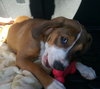 Seren(dipity)