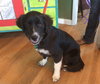 Winnie