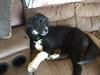 Winnie
