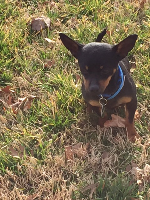 Jack