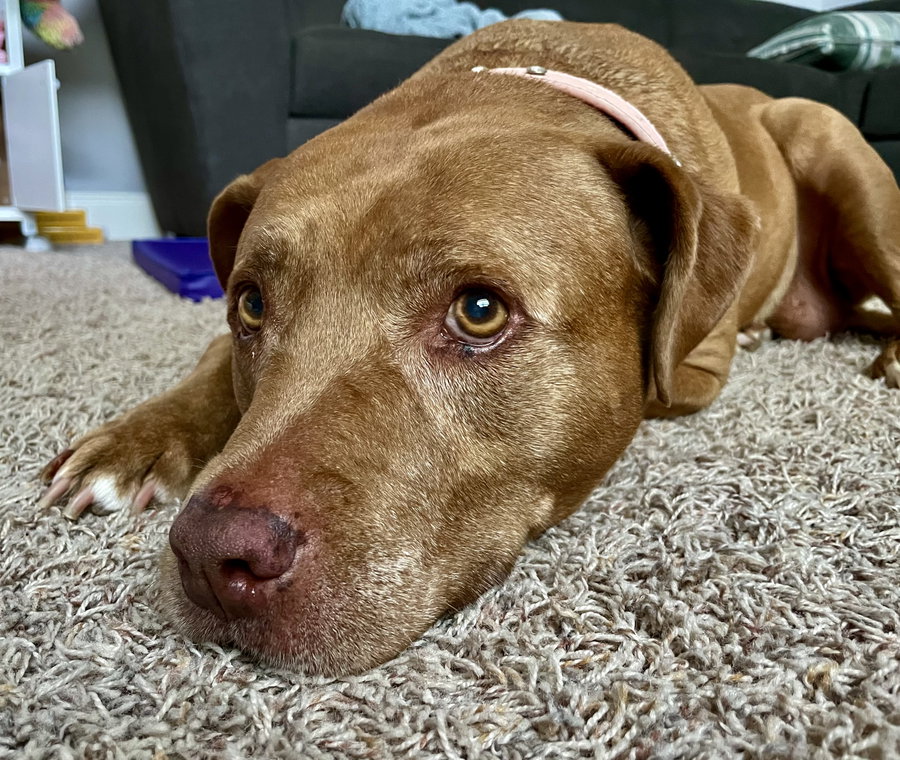 Ruby