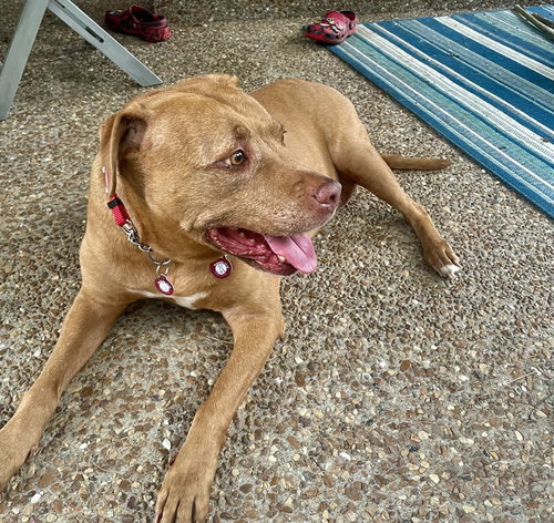 Ruby