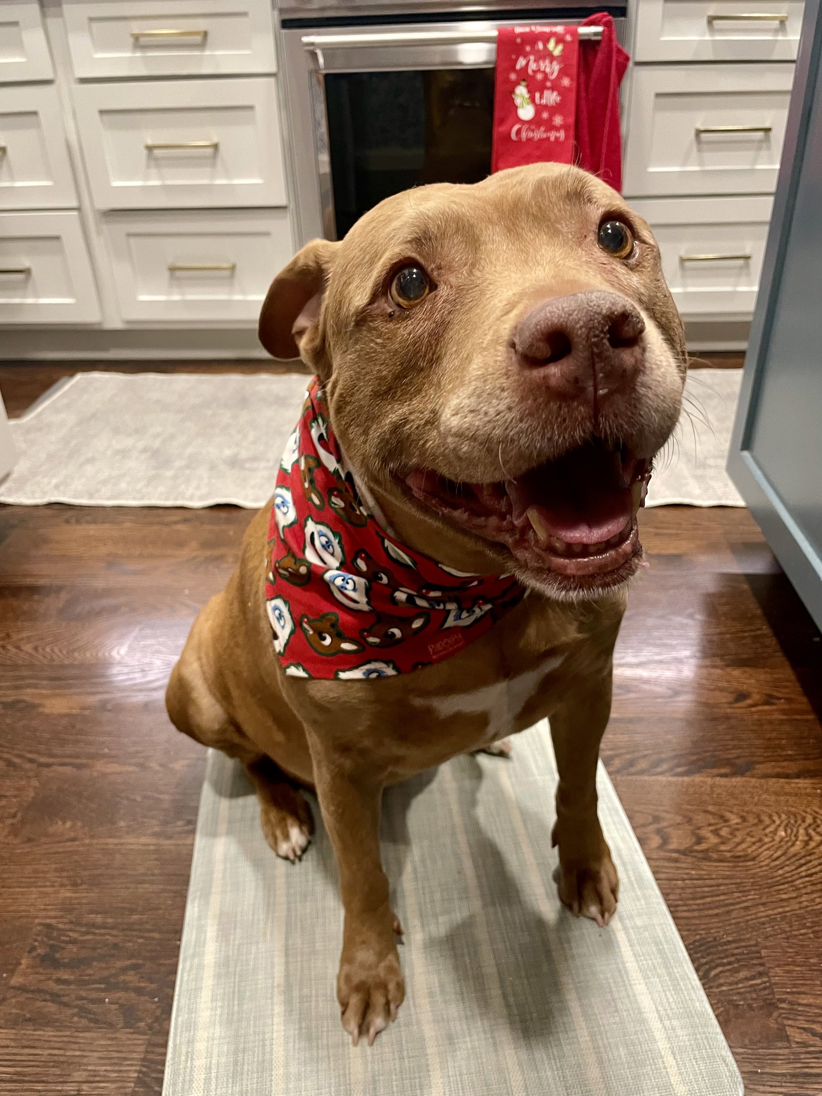 Ruby Image