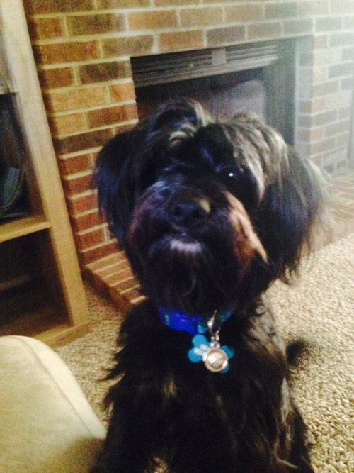 Tucker