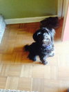 Tucker