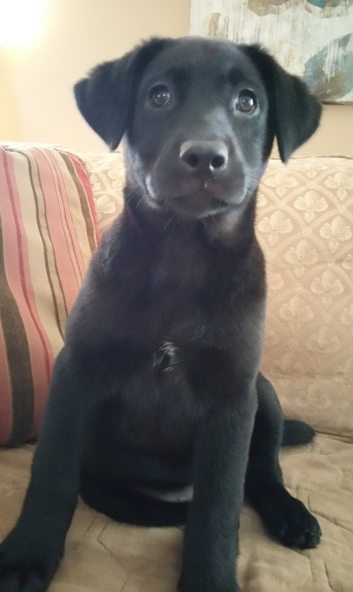 Rosie