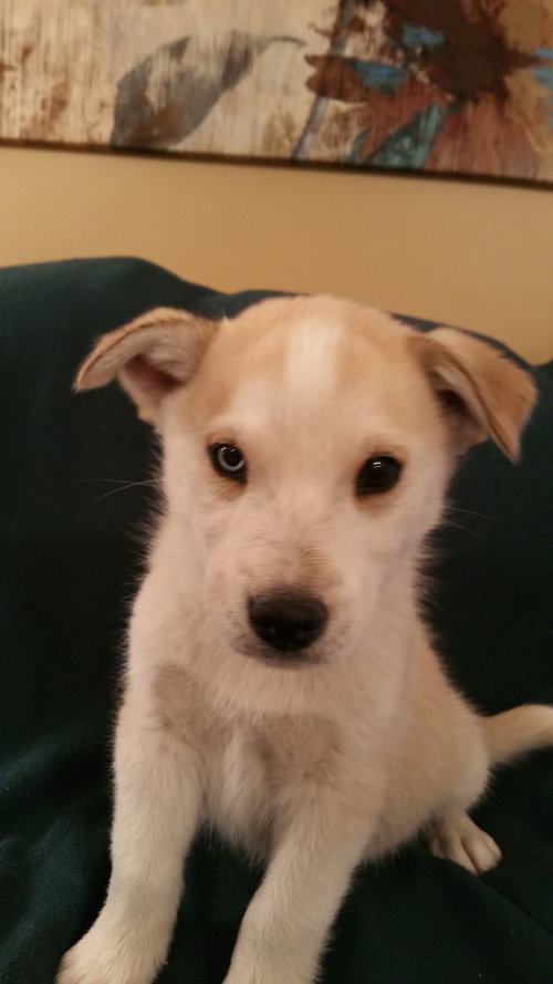 Max