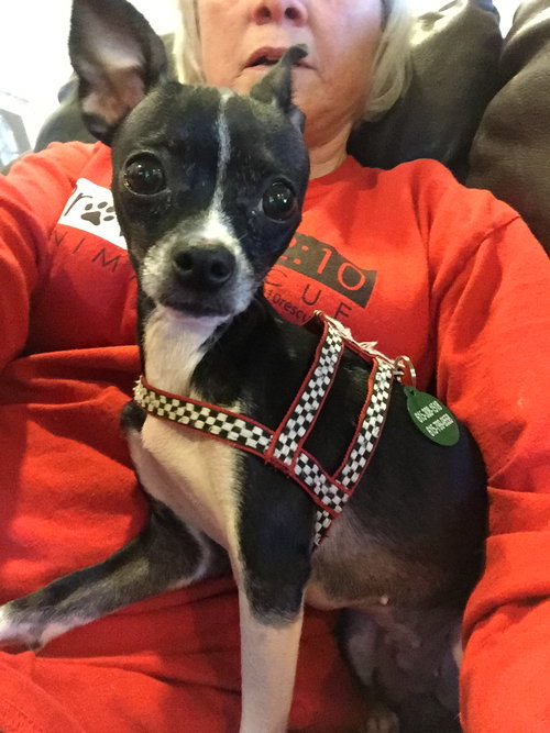 Chloe