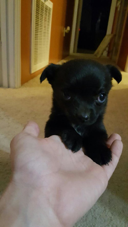 Fiona