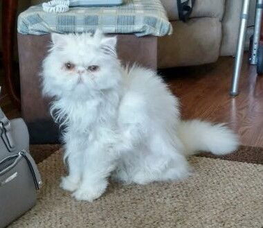 George