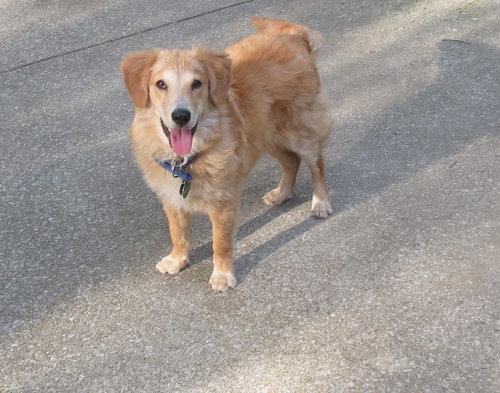 Sammy