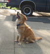 Sammy