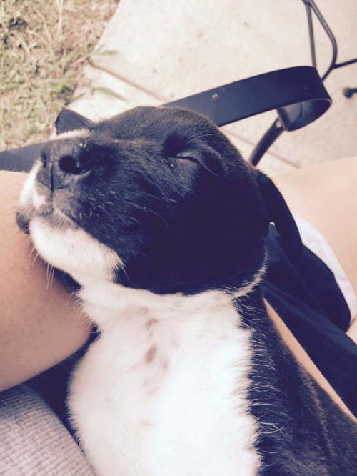 Bo