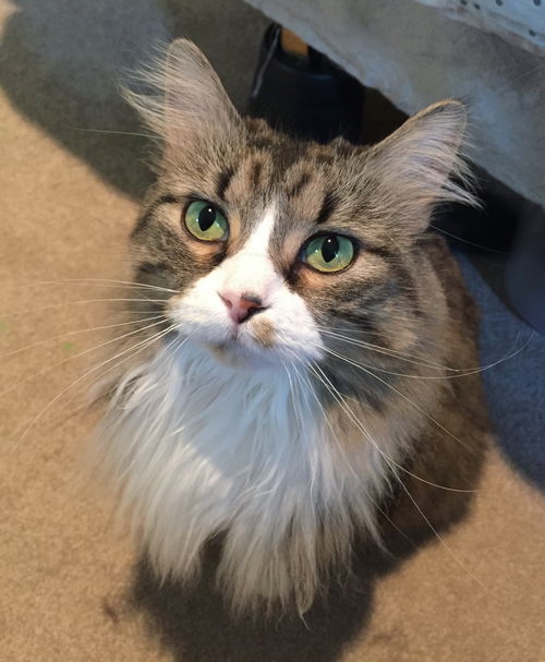 Ellie