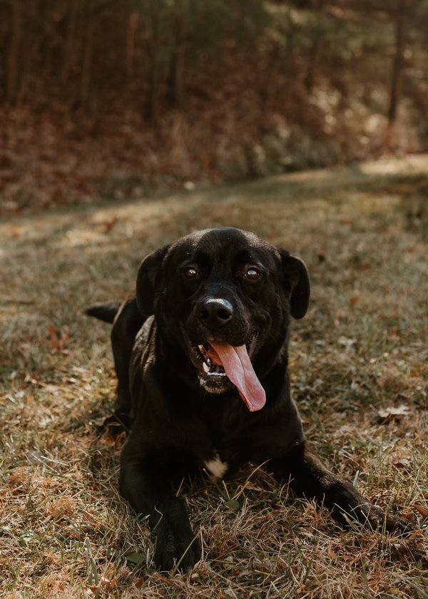 Malachi