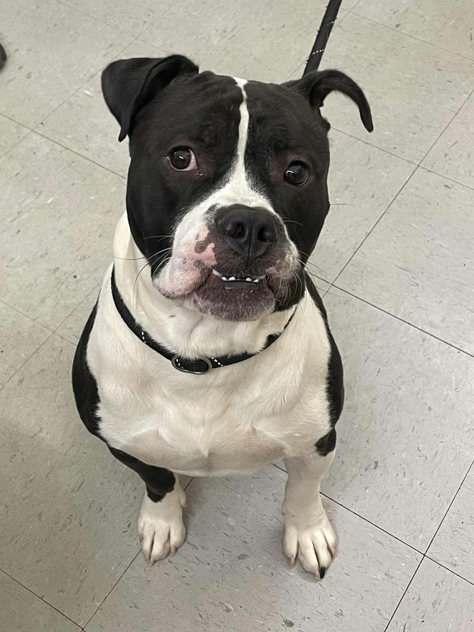 Max