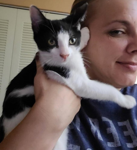 Oreo - Petsmart Plantation Foster Home