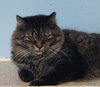 Bev - Photo 1
