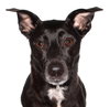 Lola - Photo 1