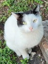 Caleb - Courtesy Listing - Photo 2