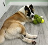 Broly - Photo 3
