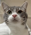 Tabitha - Photo 2