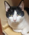 Marilyn - petsmart aventura - Photo 1