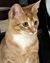 Paolo - PetSmart Aventura - Photo 1