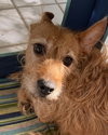 Rocket - Photo 2