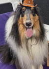 Dale - Photo 1