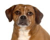 Lucy Lou - Photo 1