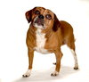 Lucy Lou - Photo 2