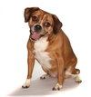 Lucy Lou - Photo 3