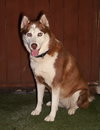 Harriet - Photo 2