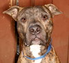 Jamison - Photo 1