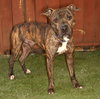 Jamison - Photo 2