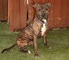 Jamison - Photo 3