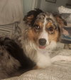 Luna - Photo 1