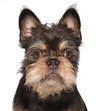 Ricky - Photo 1