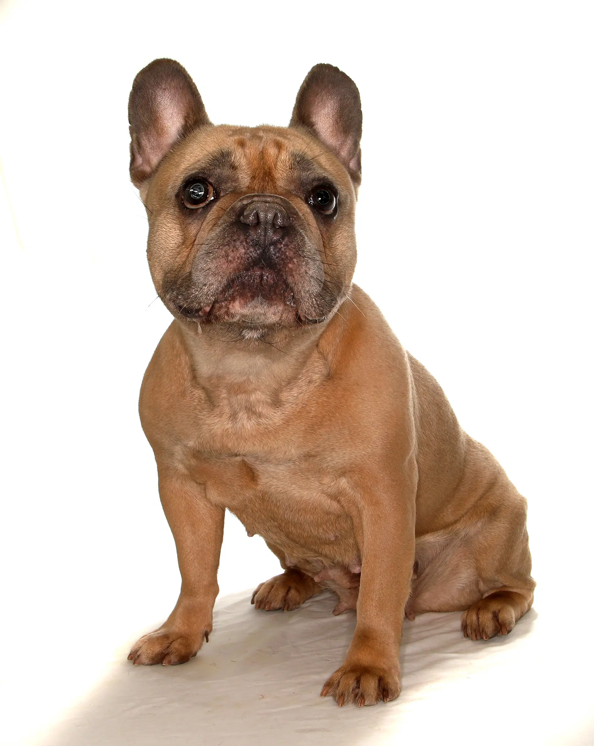 Fiona image 2