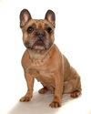 Fiona - Photo 2