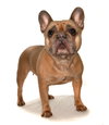 Fiona - Photo 3