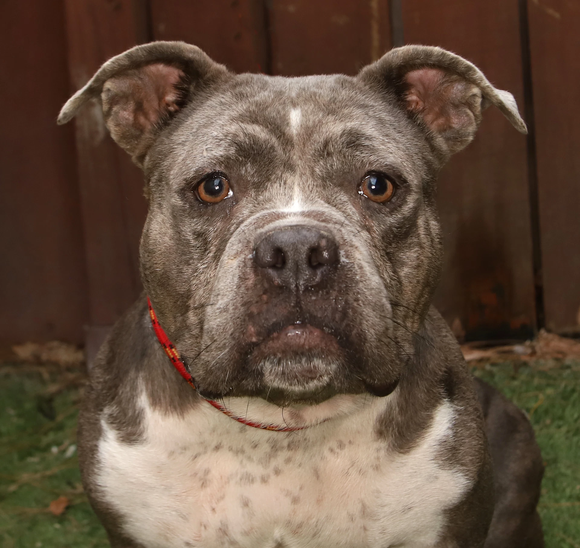 Rosie