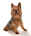 Cisco - Photo 2