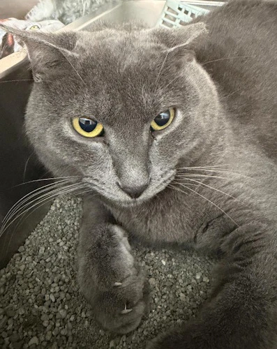 Stormy - Psp