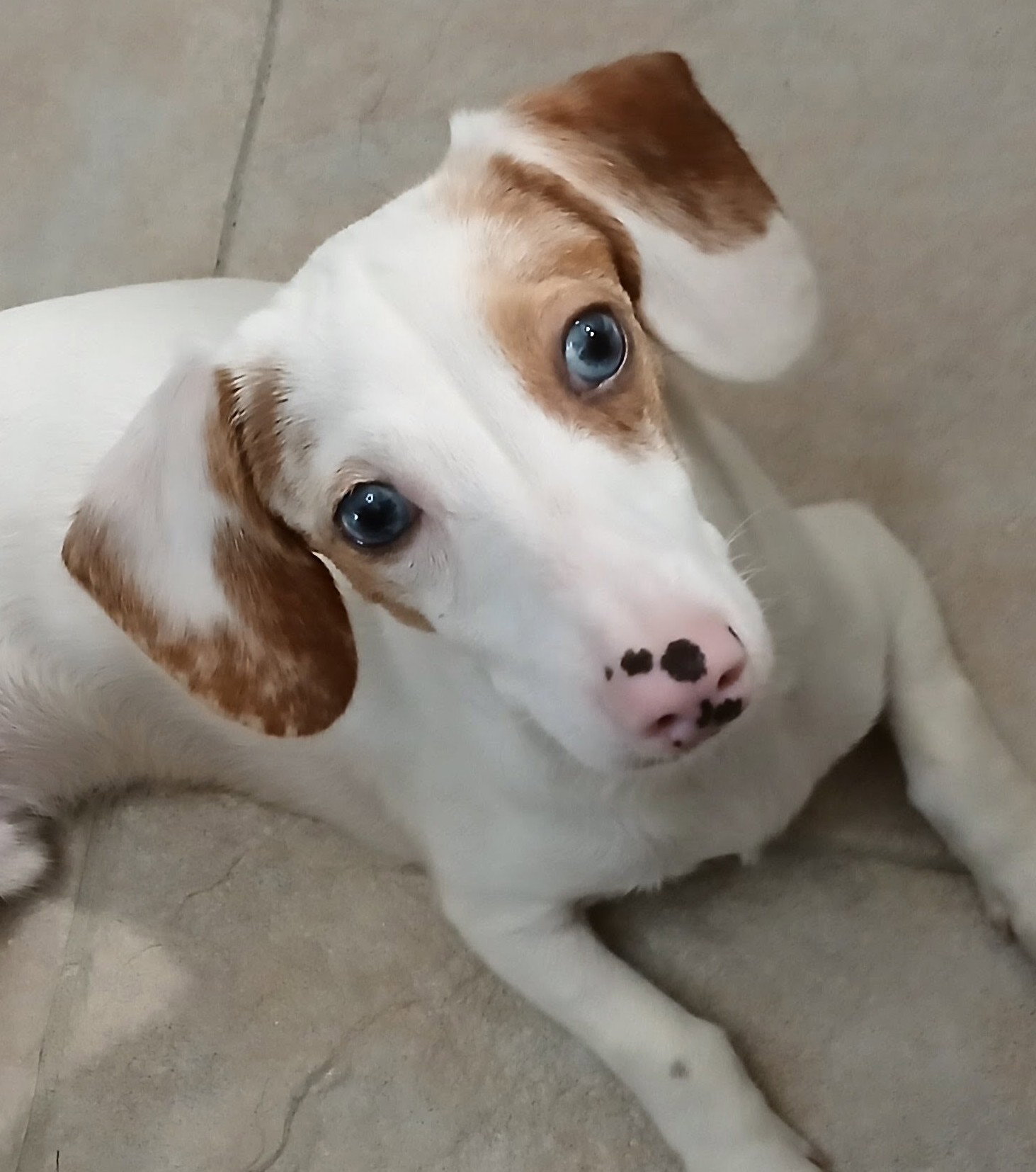 Sinatra