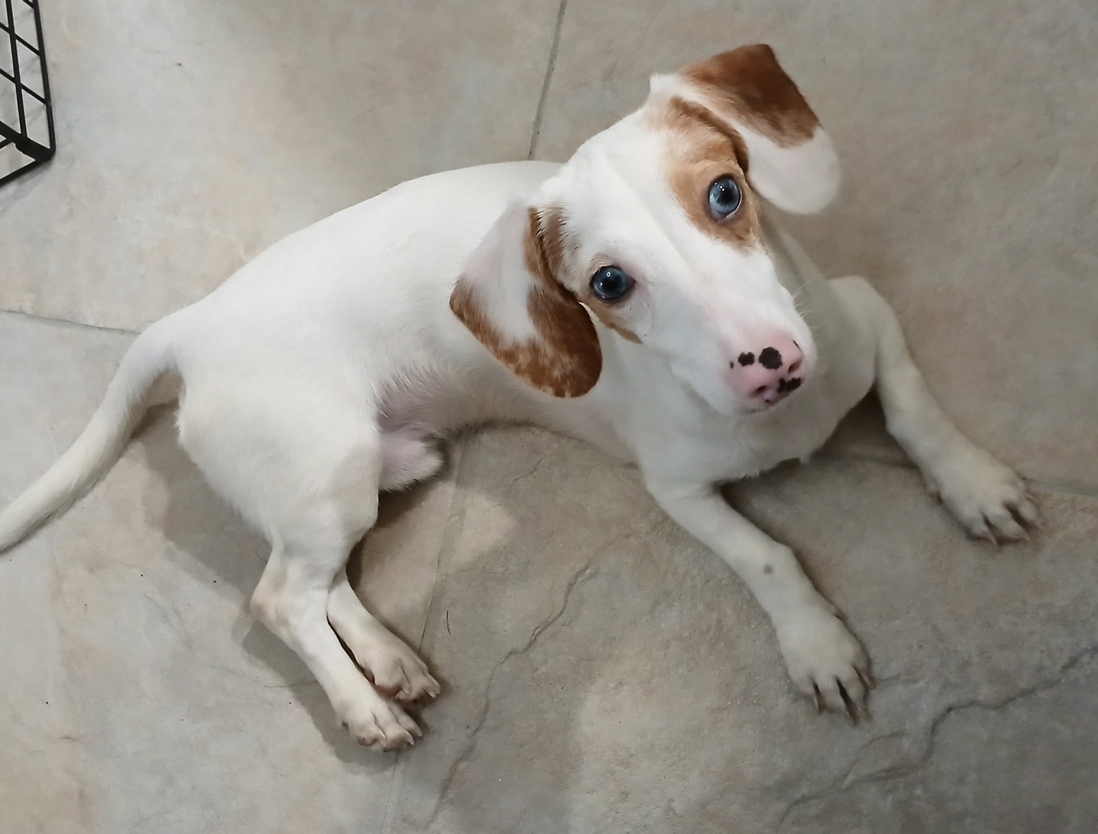 Sinatra, photo 4